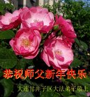 ���ֹ�,�����󷨵��ӹ�ףʦ�������(19��)