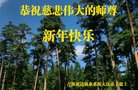 Published on 12/30/2017 ���ֹ�,����ҵ�󷨵��ӹ�ףʦ�������(26��)