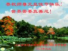 Published on 12/30/2017 ���ֹ�,����ϵͳ�󷨵��ӹ�ףʦ�������(19��)