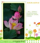 ���ֹ�,ʯ��ׯ�󷨵��ӹ�ףʦ�������(20��)