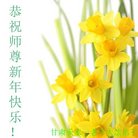 ���ֹ�,����󷨵��ӹ�ףʦ�������(21��)