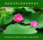 ���ֹ�,�ػʵ��󷨵��ӹ�ףʦ�������(21��)