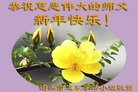 Published on 1/1/2018 ���ֹ�,��½�󷨵��ӹ�ףʦ�������(26��)