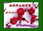 ���ֹ�,�ӱ��󷨵��ӹ�ףʦ�������(18��)
