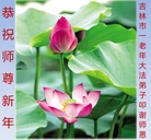 ���ֹ�,�����д󷨵��ӹ�ףʦ�������(21��)