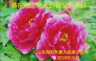 Published on 12/30/2017 ���ֹ�,���󷨵��ӹ�ףʦ�������(24��)