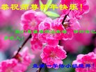 Published on 1/1/2018 ���ֹ�,��½�󷨵��ӹ�ףʦ�������(37��)