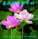 ���ֹ�,�������󷨵��ӹ�ףʦ�������(21��)