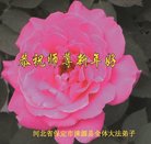 ���ֹ�,�����󷨵��ӹ�ףʦ�������(22��)