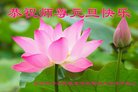 Published on 12/31/2017 ���ֹ�,���Ƿ���Ѻ�󷨵��ӹ�ףʦ�������(22��)