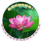 ���ֹ�,�������󷨵��ӹ�ףʦ�������(20��)