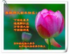 Published on 12/29/2017 ���ֹ�,С���ӹ�ףʦ�������(21��)