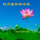 ���ֹ�,�żҿڴ󷨵��ӹ�ףʦ�������(22��)