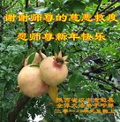 ���ֹ�,�����󷨵��ӹ�ףʦ�������(22��)