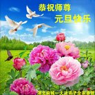 ���ֹ�,�����󷨵��ӹ�ףʦ�������(26��)