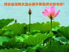 Published on 12/29/2017 ���ֹ�,С���ӹ�ףʦ�������(21��)