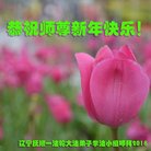 ���ֹ�,�����󷨵��ӹ�ףʦ�������(24��)