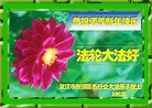 Published on 12/29/2017 ���ֹ�,���и�ҵ�󷨵��ӹ�ףʦ��Ԫ������