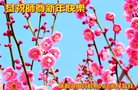 Published on 12/31/2017 ���ֹ�,����ҵ�󷨵��ӹ�ףʦ�������(30��)