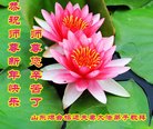 Published on 12/31/2017 ���ֹ�,����ҵ�󷨵��ӹ�ףʦ�������(30��)
