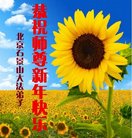 ���ֹ�,�����󷨵��ӹ�ףʦ�������(20��)