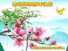 Published on 12/31/2017 ���ֹ�,����ҵ�󷨵��ӹ�ףʦ�������(30��)