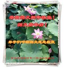 ���ֹ�,�������󷨵��ӹ�ףʦ�������(25��)