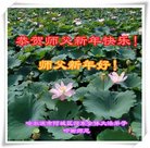 ���ֹ�,�������󷨵��ӹ�ףʦ�������(19��)