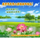 ���ֹ�,�ӱ��󷨵��ӹ�ףʦ�������(23��)