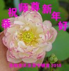 ���ֹ�,�����д󷨵��ӹ�ףʦ�������(21��)