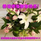 ���ֹ�,�����󷨵��ӹ�ףʦ�������(20��)