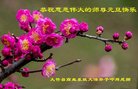 Published on 12/31/2017 ���ֹ�,����ҵ�󷨵��ӹ�ףʦ�������(18��)