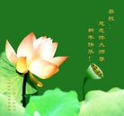 ���ֹ�,�����󷨵��ӹ�ףʦ�������(24��)