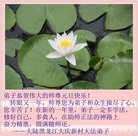 ���ֹ�,����󷨵��ӹ�ףʦ�������(22��)