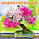 ���ֹ�,ɽ���󷨵��ӹ�ףʦ�������(23��)