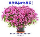 ���ֹ�,��ľ˹�󷨵��ӹ�ףʦ�������(21��)