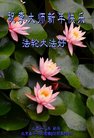 Published on 12/31/2017 ���ֹ�,���������˹�ףʦ�������(23��)