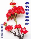 Published on 1/1/2018 ���ֹ�,��½�󷨵��ӹ�ףʦ�������(37��)