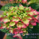 ���ֹ�,�����󷨵��ӹ�ףʦ�������(23��)