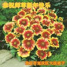 ���ֹ�,�����󷨵��ӹ�ףʦ�������(21��)