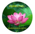 ���ֹ�,ʯ��ׯ�󷨵��ӹ�ףʦ�������(24��)