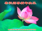 Published on 12/31/2017 ���ֹ�,����ҵ�󷨵��ӹ�ףʦ�������(32��)