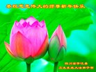 Published on 12/31/2017 ���ֹ�,����ҵ�󷨵��ӹ�ףʦ�������(32��)