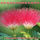 ���ֹ�,�ӱ��󷨵��ӹ�ףʦ�������(26��)