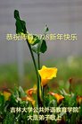 Published on 12/31/2017 ���ֹ�,�й����ظߵ�ԺУ������ҵ������ӹ���ʦ�������