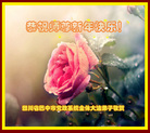 Published on 12/31/2017 ���ֹ�,��½����˾��ϵͳ�����Ӵ󷨵�������ж�ʦ��