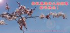 Published on 12/31/2017 ���ֹ�,�й����ظߵ�ԺУ������ҵ������ӹ���ʦ�������