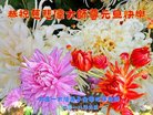 Published on 12/31/2017 ���ֹ�,�й����ظߵ�ԺУ������ҵ������ӹ���ʦ�������