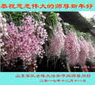 Published on 12/31/2017 ���ֹ�,��½����˾��ϵͳ�����Ӵ󷨵�������ж�ʦ��