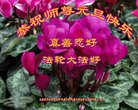 Published on 12/31/2017 ���ֹ�,�й����ظߵ�ԺУ������ҵ������ӹ���ʦ�������